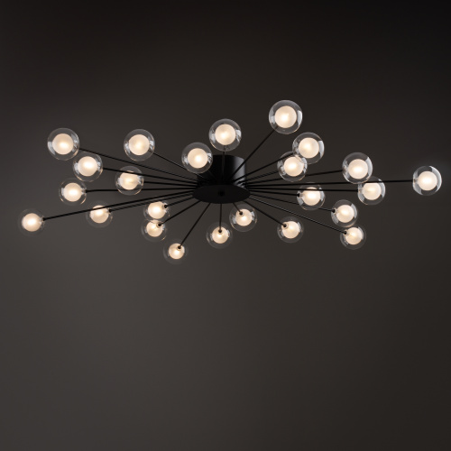 Потолочный светильник Freya FR5242CL-24B1 фото 7